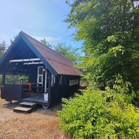 Tranum Klit Camping Og Hytteudlejning Brovst Экстерьер фото